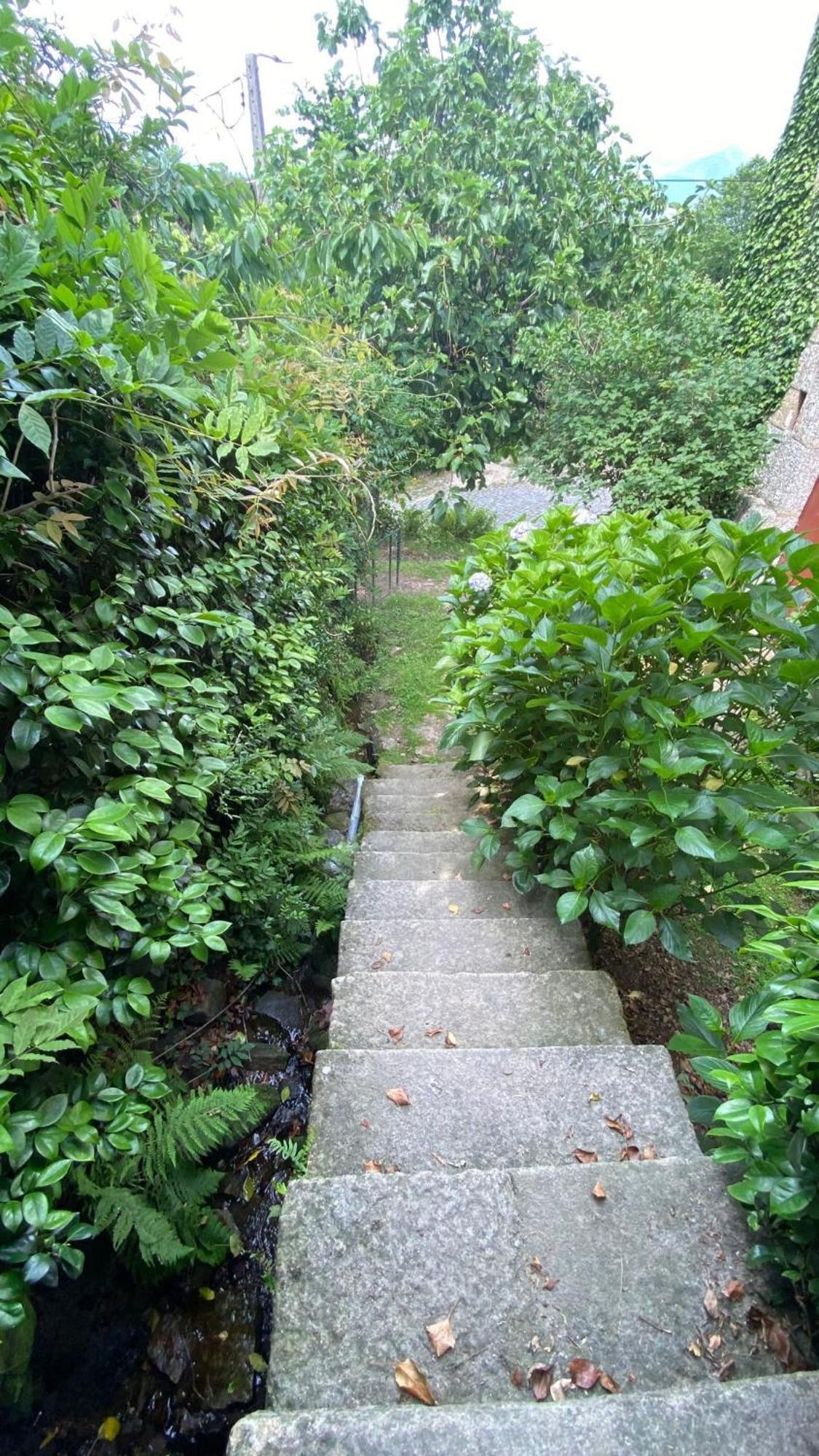 דירות סלוריקו דה באשטו Casa De Cerqueda מראה חיצוני תמונה